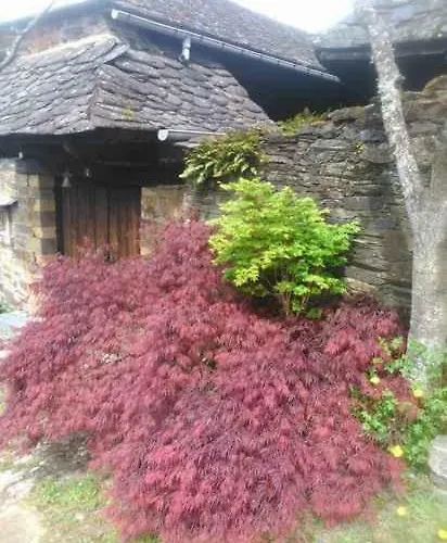 Casa O'crego San Román